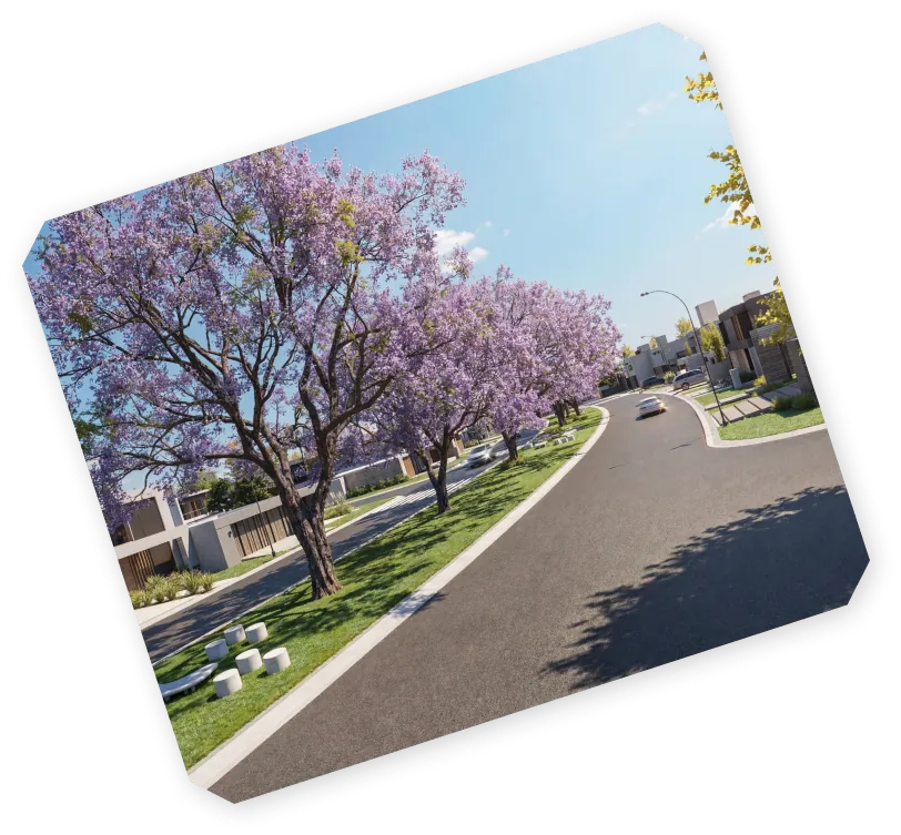 Calle interna del barrio bordeada por jacarandás florecidos